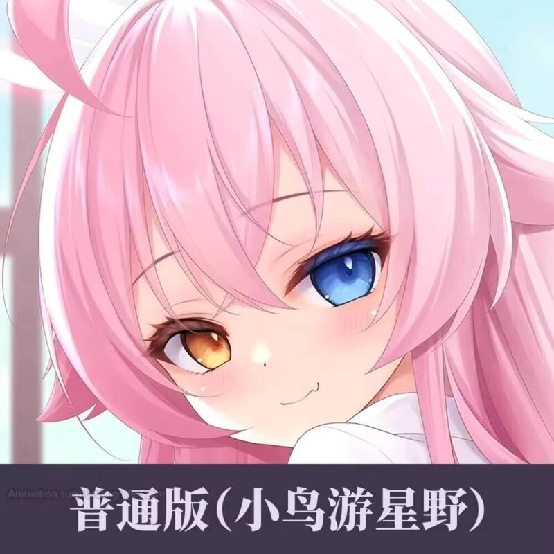 Body Pillow Cover - Dakimakura-青いアーカイブ枕カバー,クッションカバー,セクシーな枕カバー,寝具の装飾,オタク,takanashi hoshino